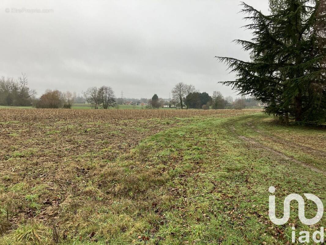 Photo 1 - Terrain à MULSANNE