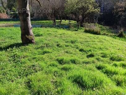 Maison à BOISSE-PENCHOT