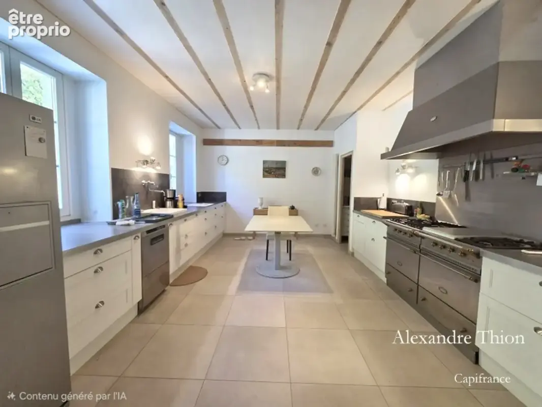 Maison à vendre 12 pièces SAINT SORLIN EN BUGEY (01) - photo 5