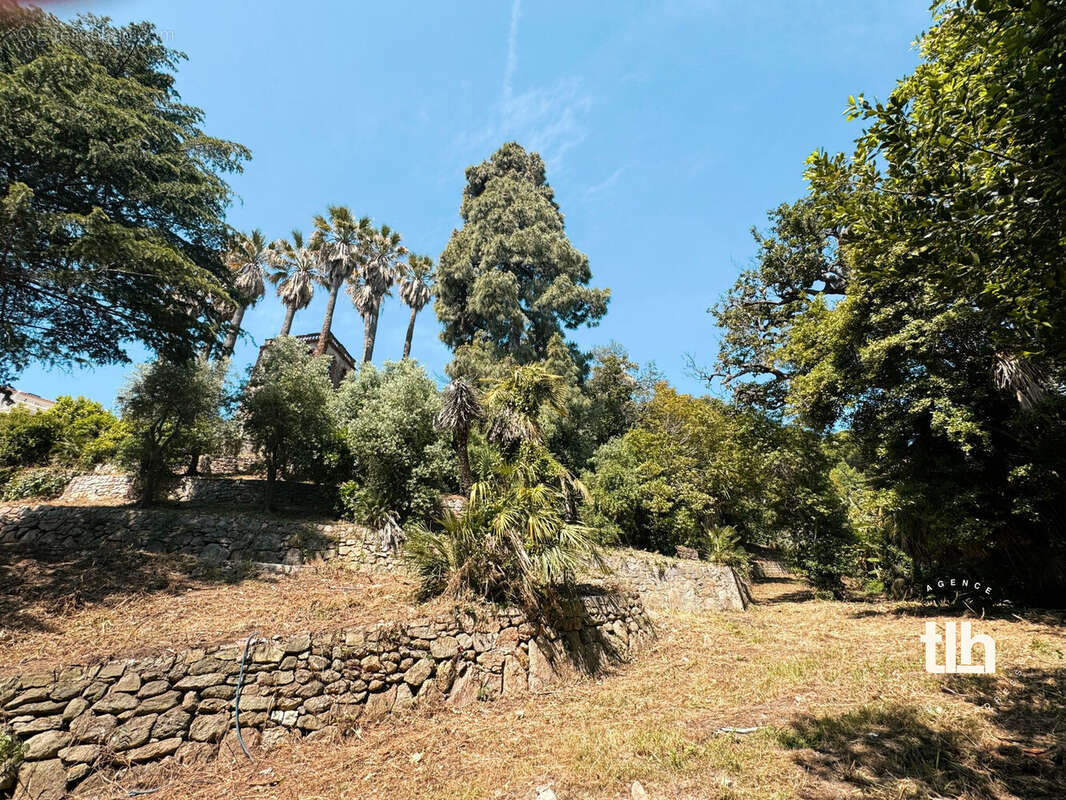 Terrain à VALLAURIS