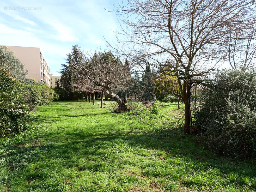 Studio avec tres belle vue et au calme - photo 8