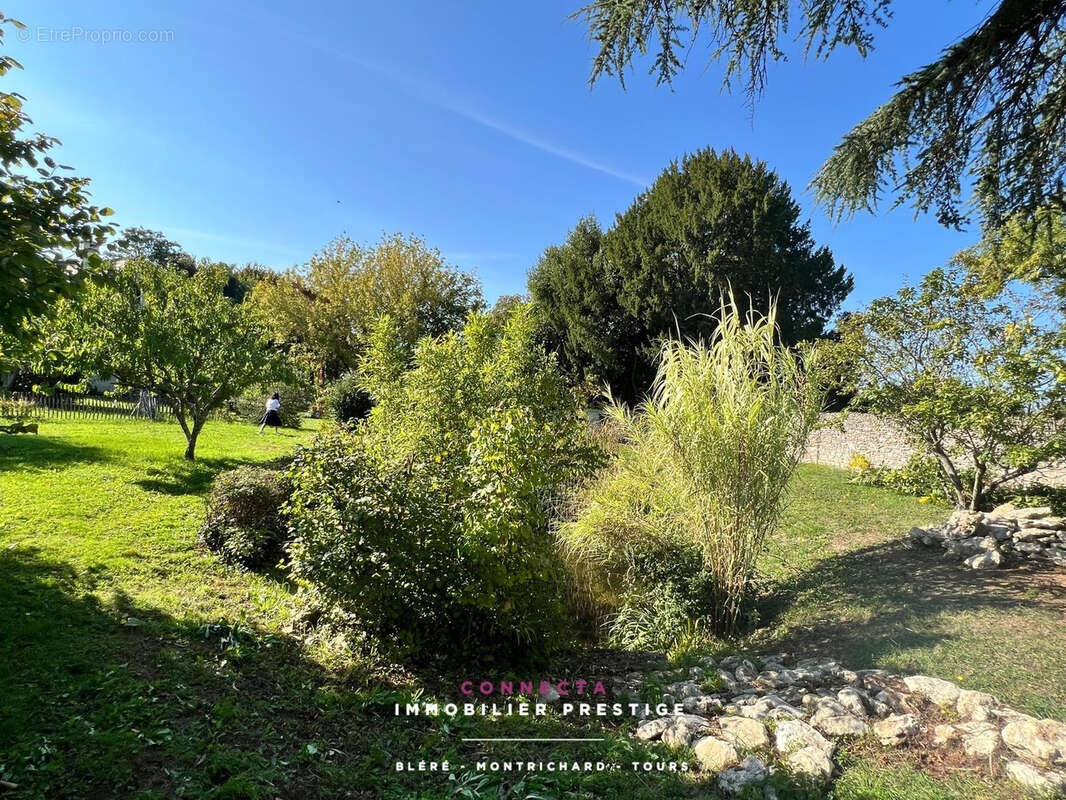 Maison à AZAY-SUR-CHER