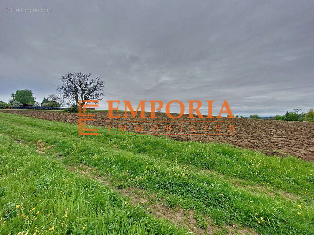 Terrain à WALDIGHOFEN