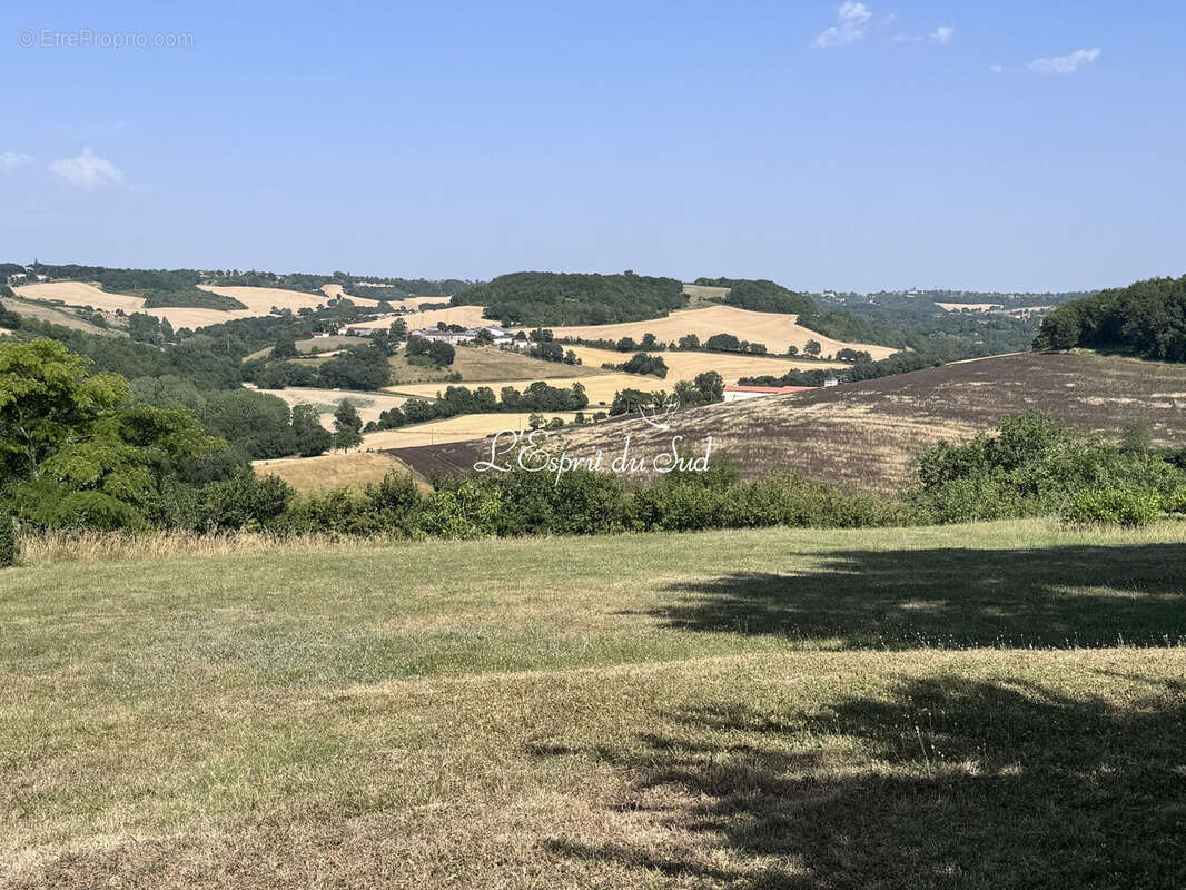 Maison 325 m² à Cordes-Sur-Ciel  - photo 3