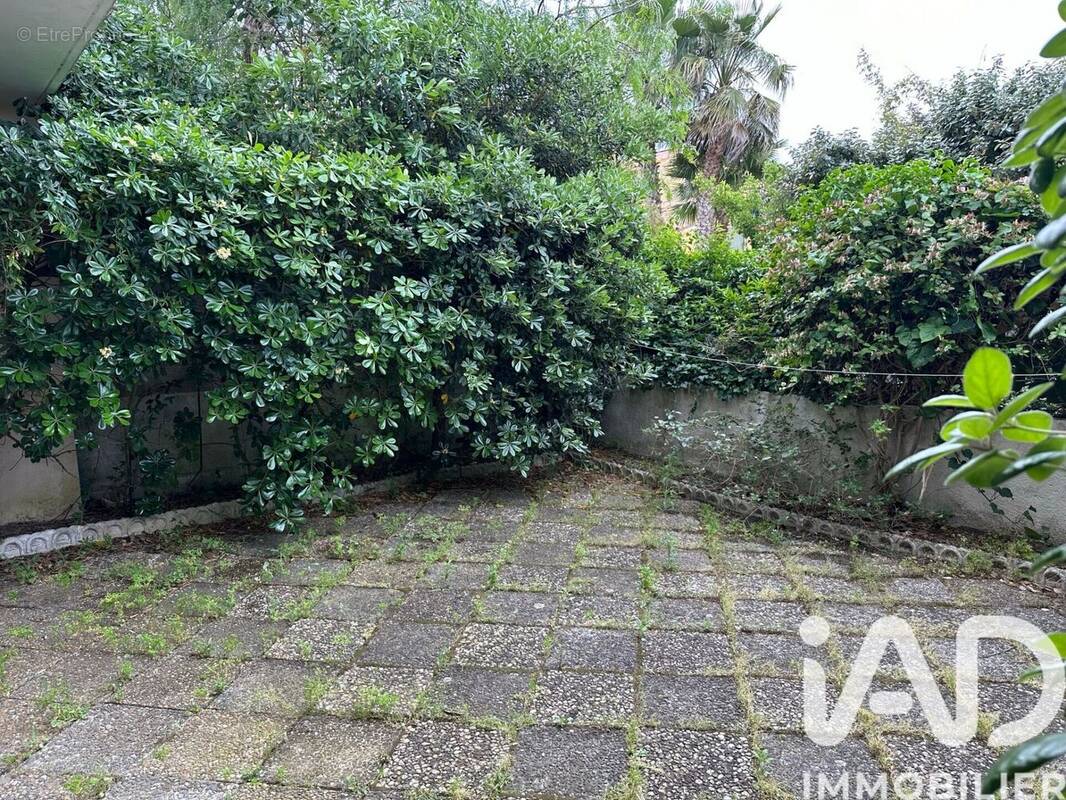 Photo 1 - Appartement à MAUGUIO