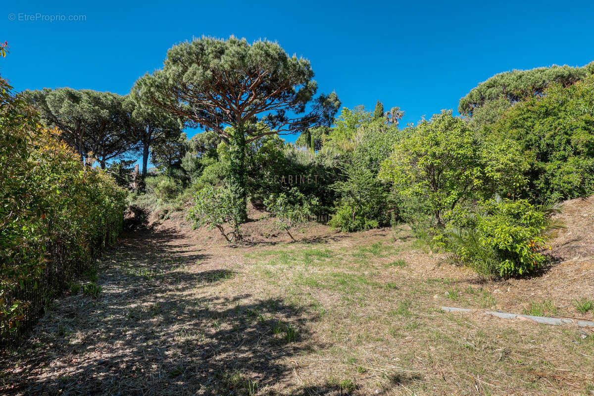 Autre à RAMATUELLE