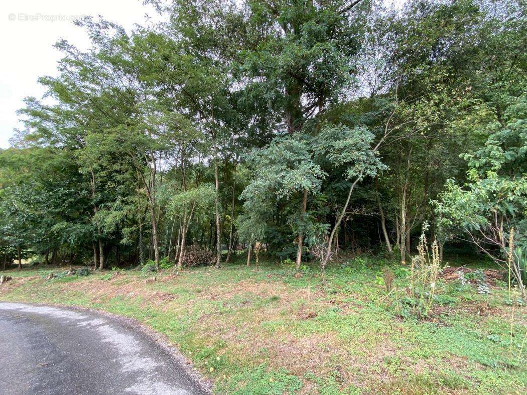 Terrain à MERCUS-GARRABET