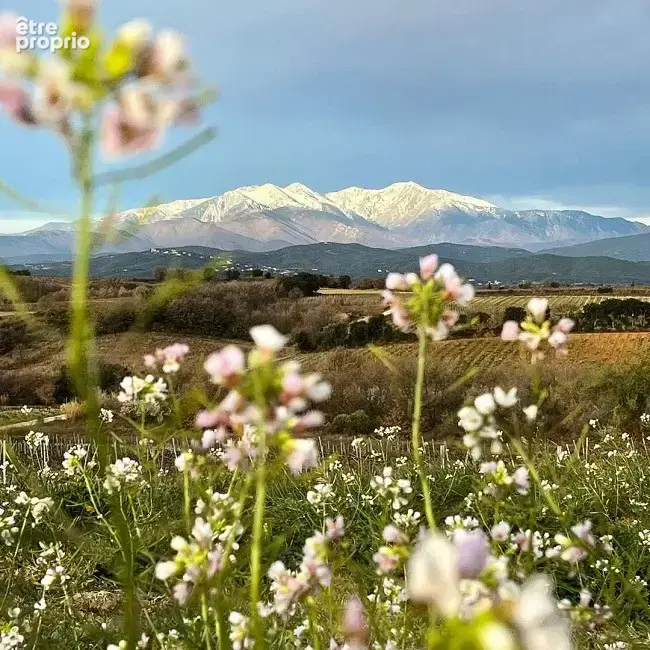Terrain à MILLAS