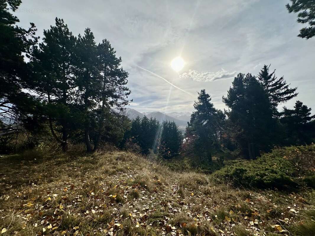 Terrain à FONT-ROMEU-ODEILLO-VIA