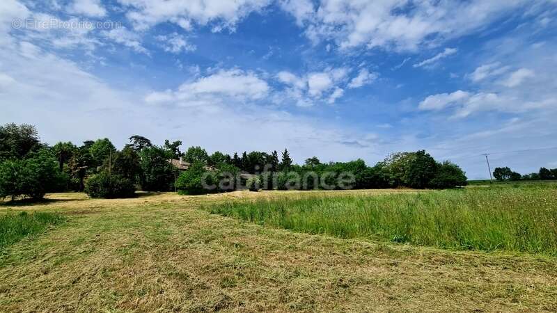 À vendre : Propriété à restaurer, à 10 mn d'Auvillar, d'environ 240 m2 habitables, sur terrain de 7400 m2  (82) - photo 26