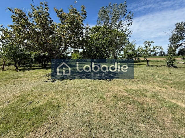 Maison 5 pièces, 124m2 terrain de 2619m2. - photo 5