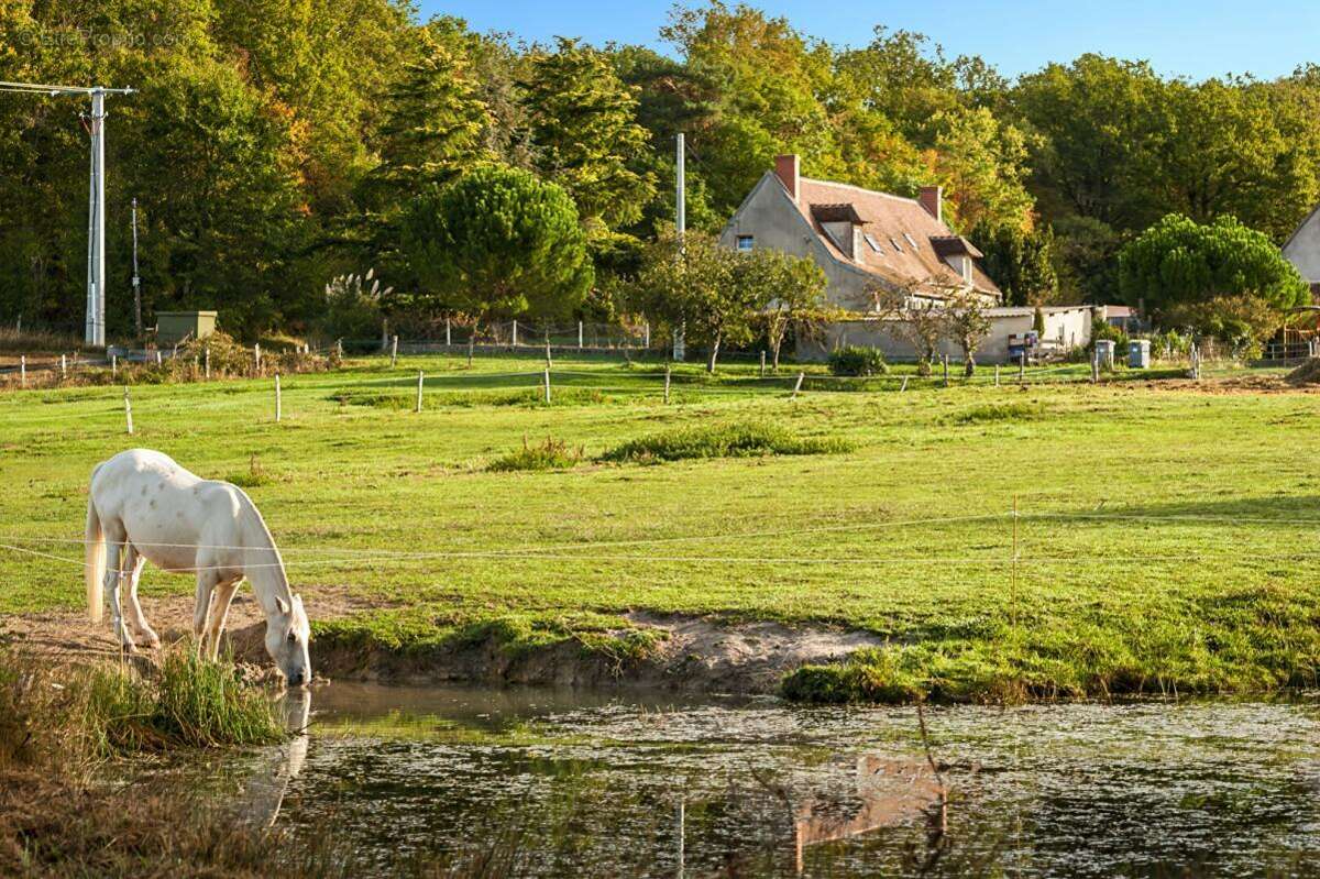 Domaine agricole & équestre de 15 hectares  À proximité de Saint-Amand-Montrond - photo 5