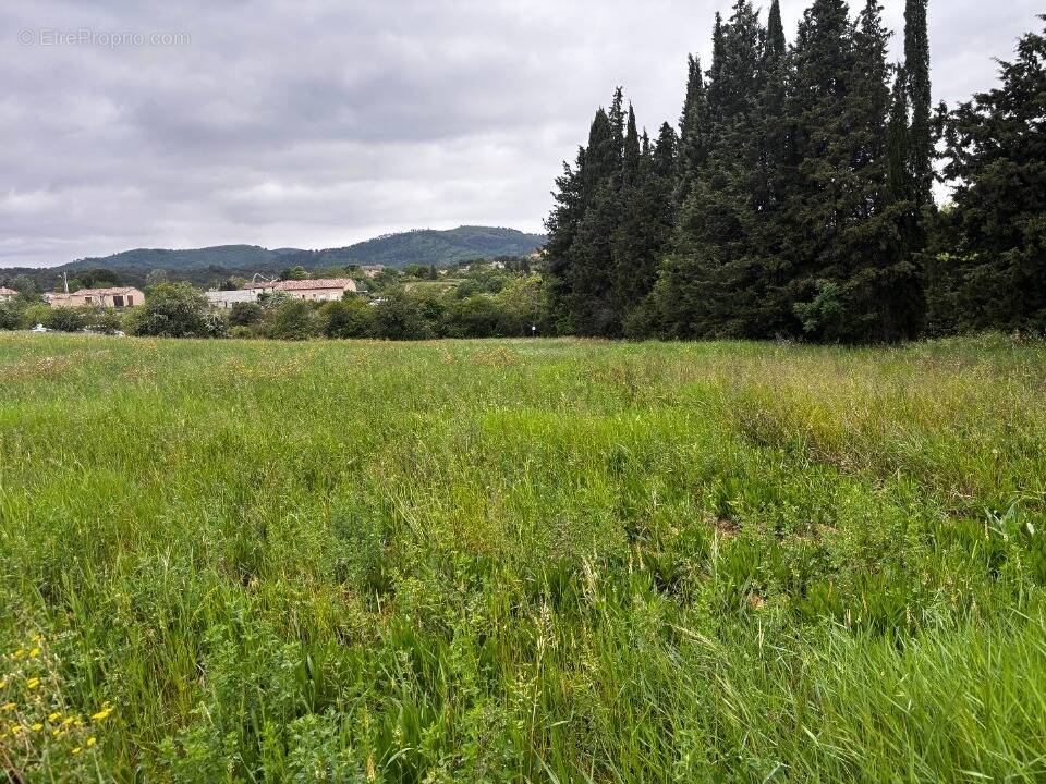 Terrain à SAINT-AMBROIX