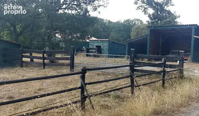 Propriété de grand standing sur 17h de prairie et bois avec plate forme ULM - photo 17
