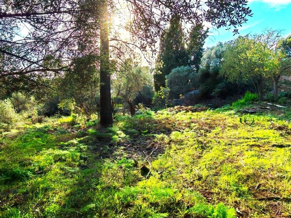 Terrain à TOULON