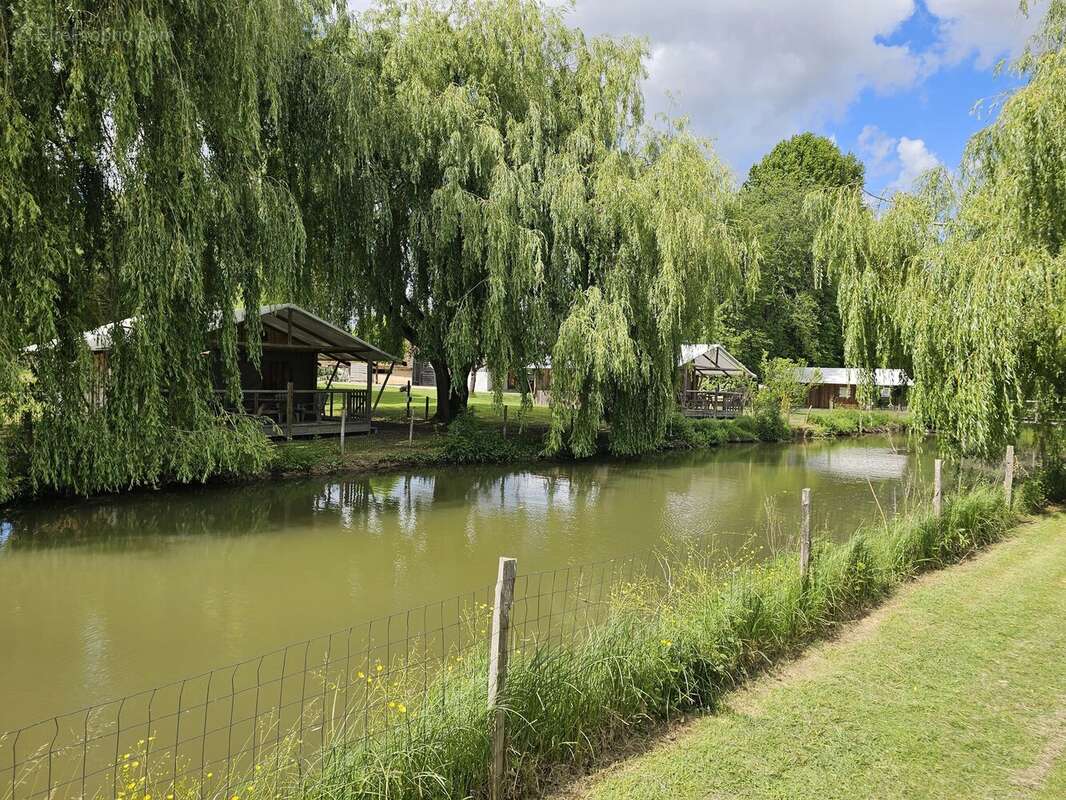 Complexe de glamping sur plus de 5 hectares avec étang - photo 2