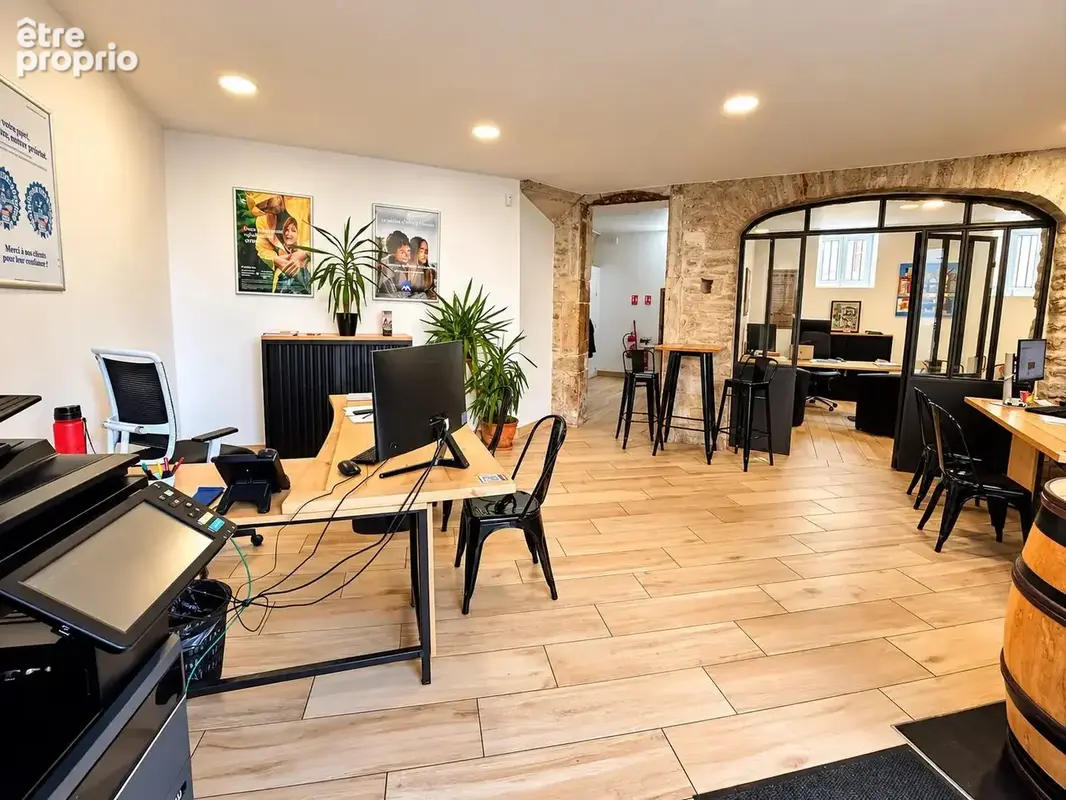 locaux  professionnels - photo 2