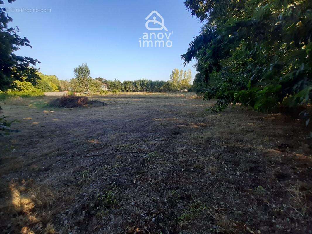 Rare Opportunité Terrain de 3 148 m2 à Saint-Junien - Cadre - photo 6