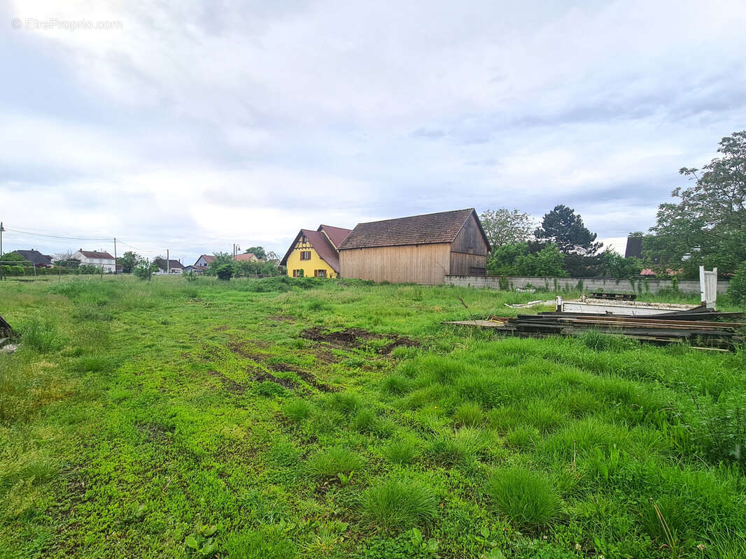 Terrain à OHNENHEIM