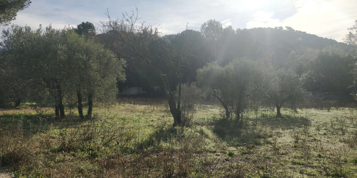 Terrain à VENTABREN