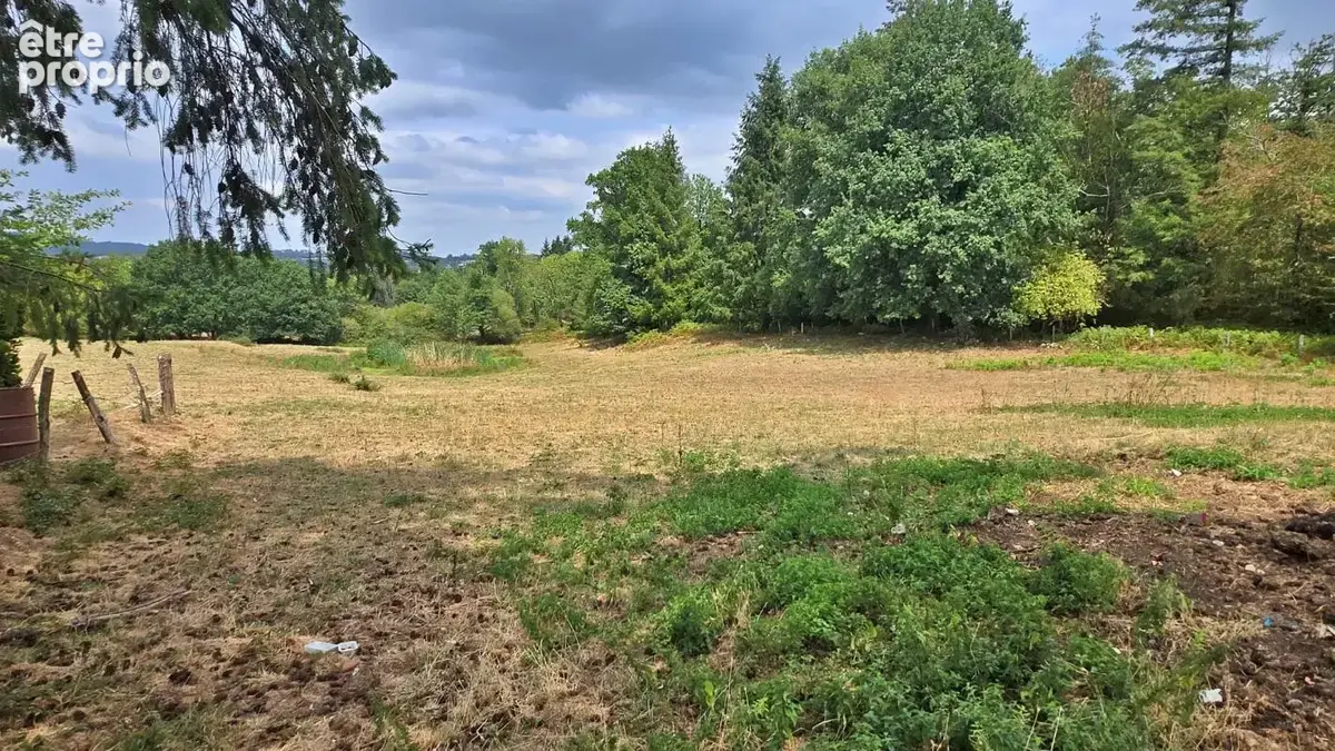 Grange 2 pieces + terrain agricole ~ 1.4ha avec pecherie - environnement calme et campagne - photo 8