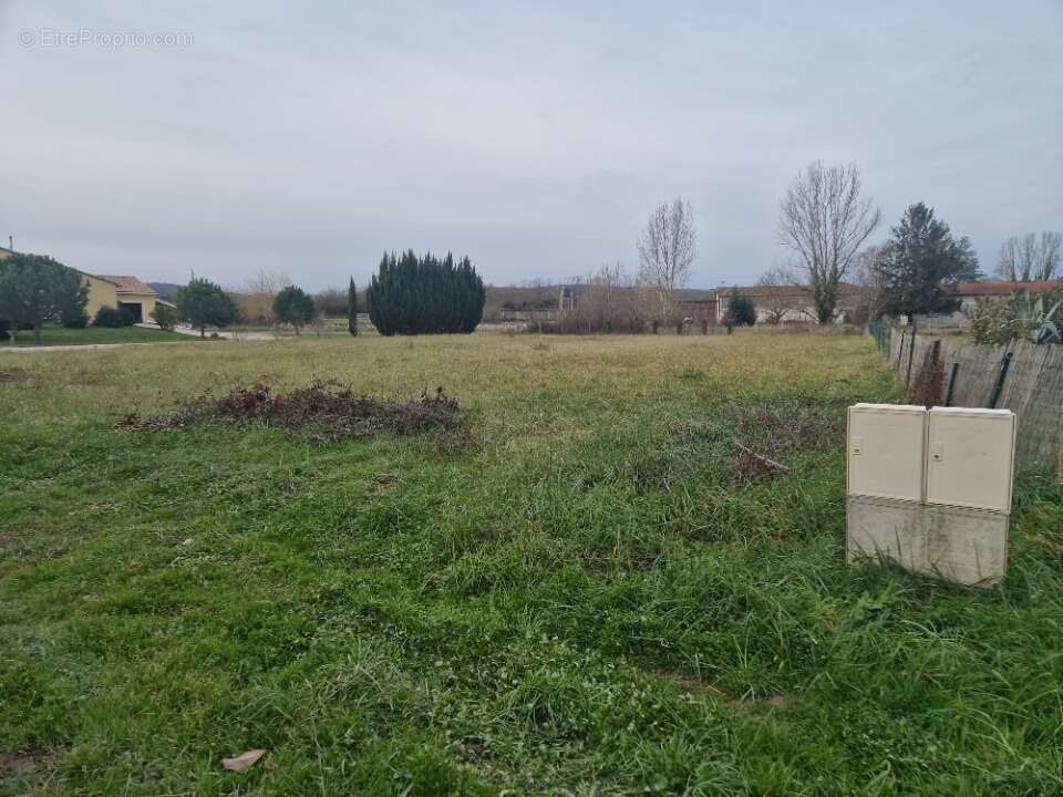 Terrain à MARTRES-TOLOSANE