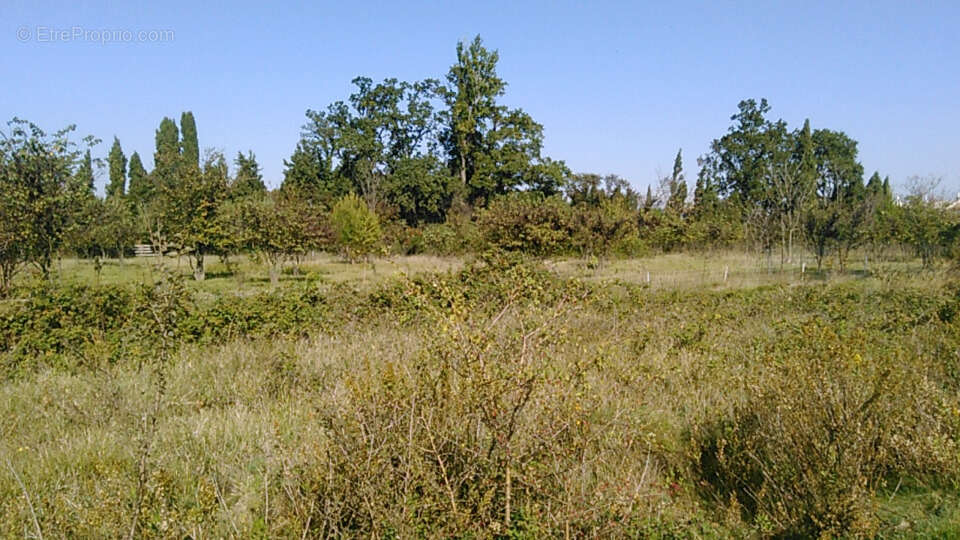 Terrain à VILLENEUVE-LES-AVIGNON