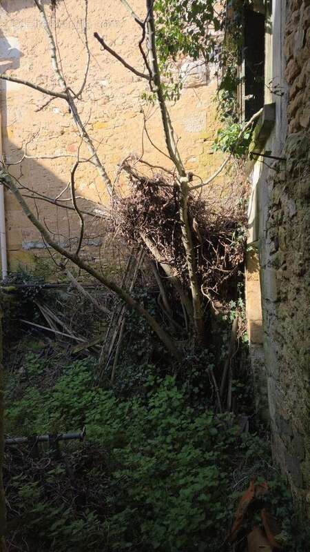 20260227111255 - Maison à SAINT-CYPRIEN