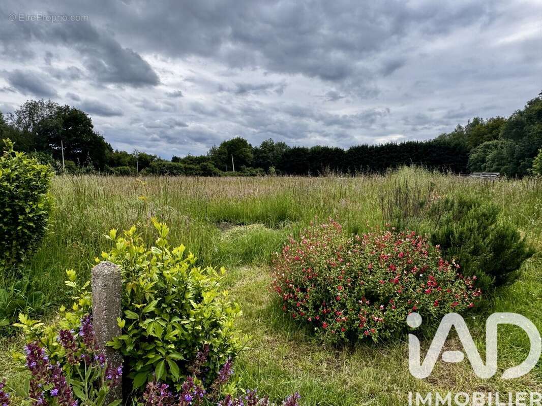 Photo 8 - Maison à LES PONTS-DE-CE