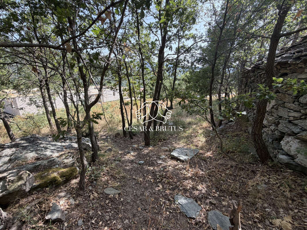 Terrain 974 m² à Murato  - photo 4