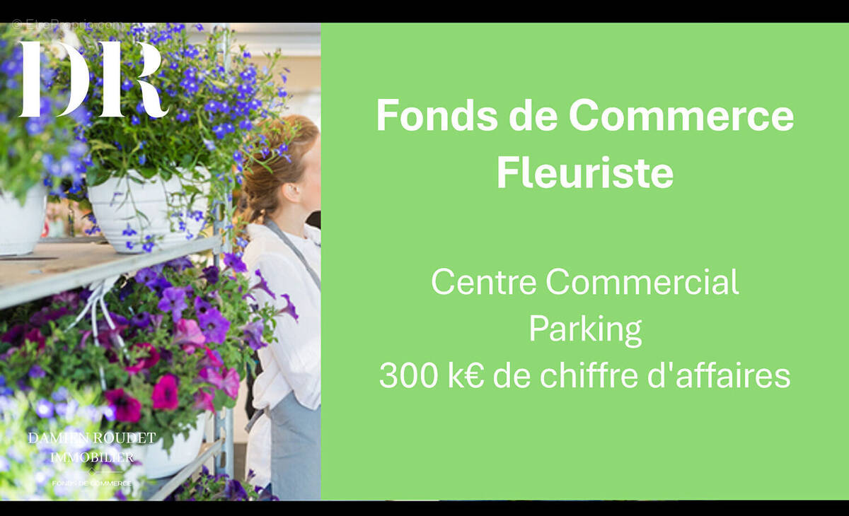Commerce à VIENNE