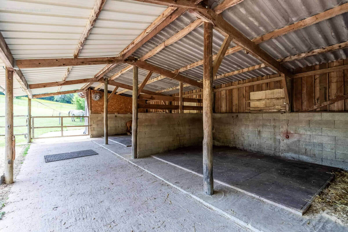 Propriete equestre - photo 10