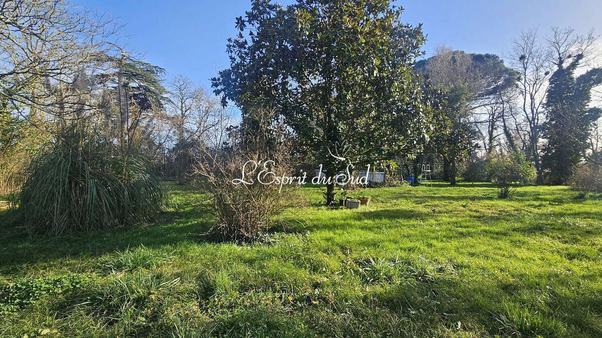 Maison 158 m² à Lisle-Sur-Tarn  - photo 5