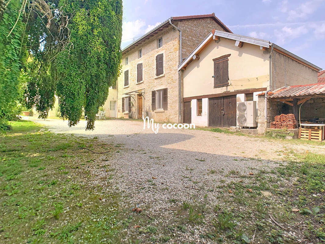 Maison à NEUVILLE-SUR-AIN