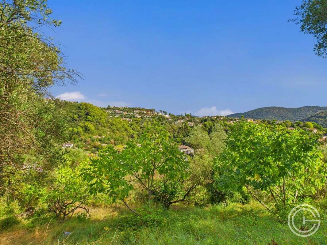 Terrain Constructible - 1.329m² - Chemin de Rimiez - ST ANDRE DE LA ROCHE - photo 11