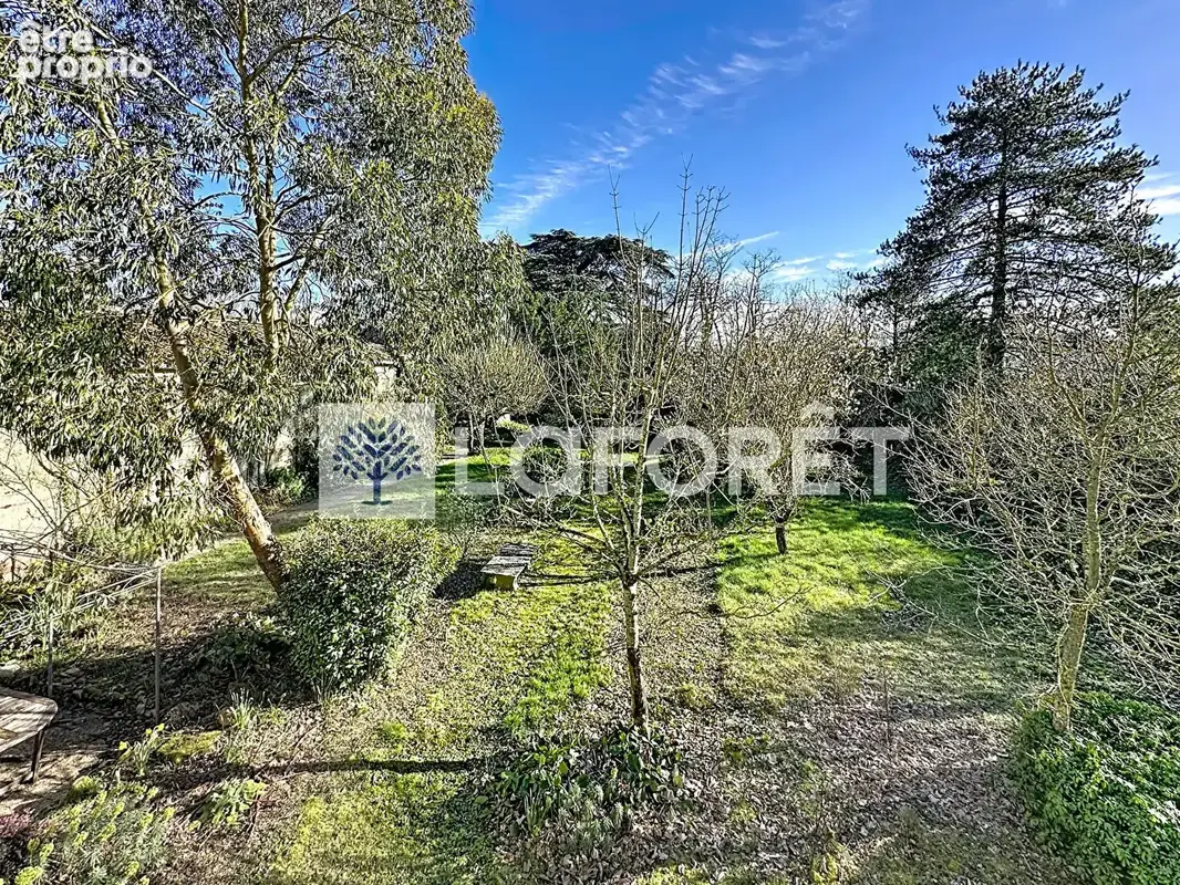 Maison en pierre - Bressuire centre - photo 3