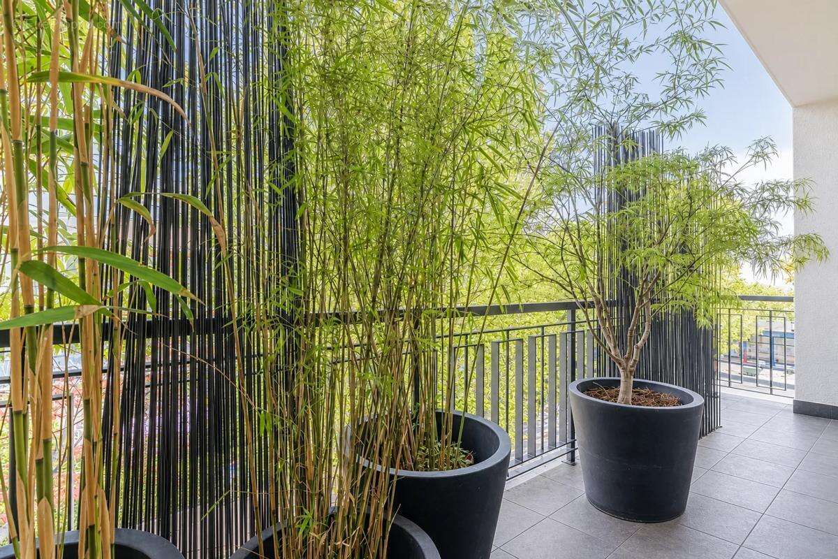Appartement à SURESNES