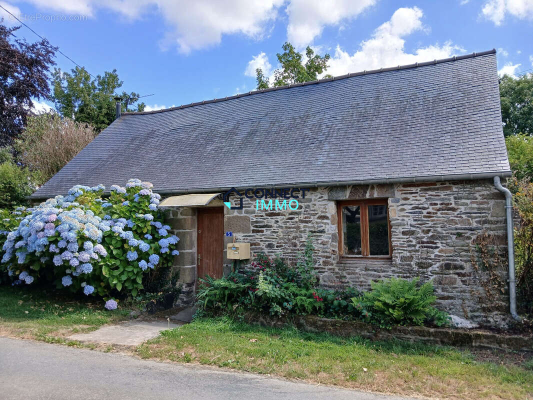 Maison 56 m² à Paule  - photo 2