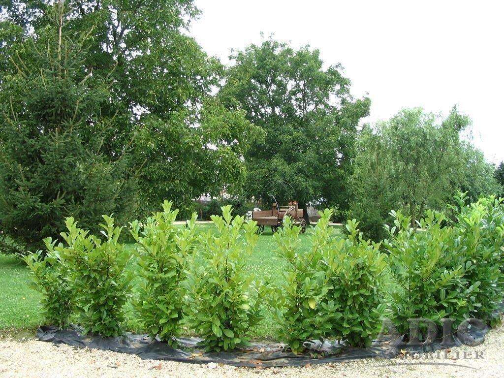 Appartement à SAINT-PATHUS