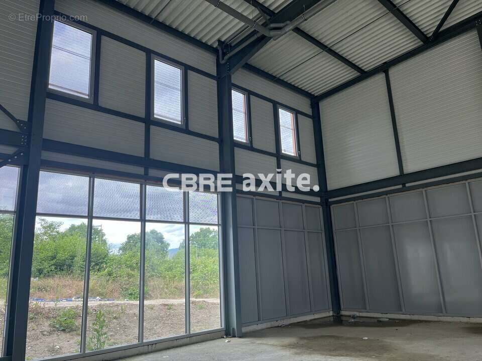 761 m² à Ferney-Voltaire  - photo 8