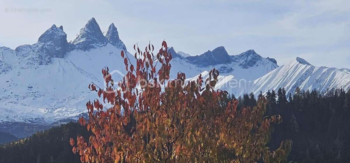 Terrain à JARRIER