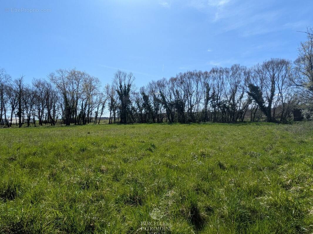 Terrain à MURET