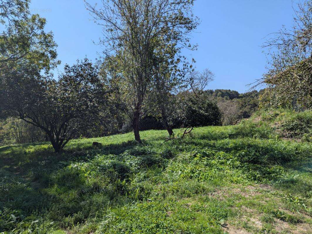 Maison à LE MAS-D'AZIL