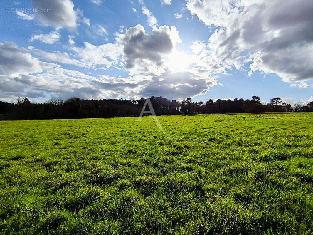 Corps de ferme: Maison en pierre 130m², parcelles de 5ha + granges - photo 18