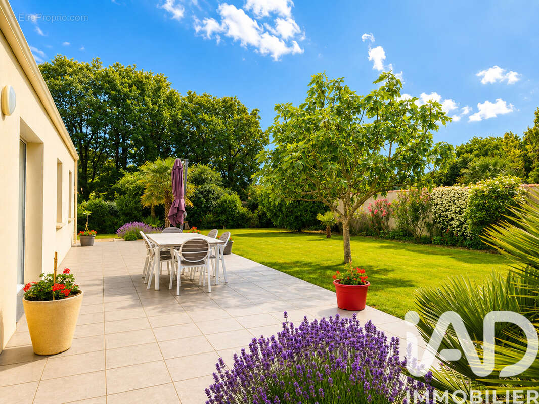 Photo 3 - Maison à TALMONT-SAINT-HILAIRE