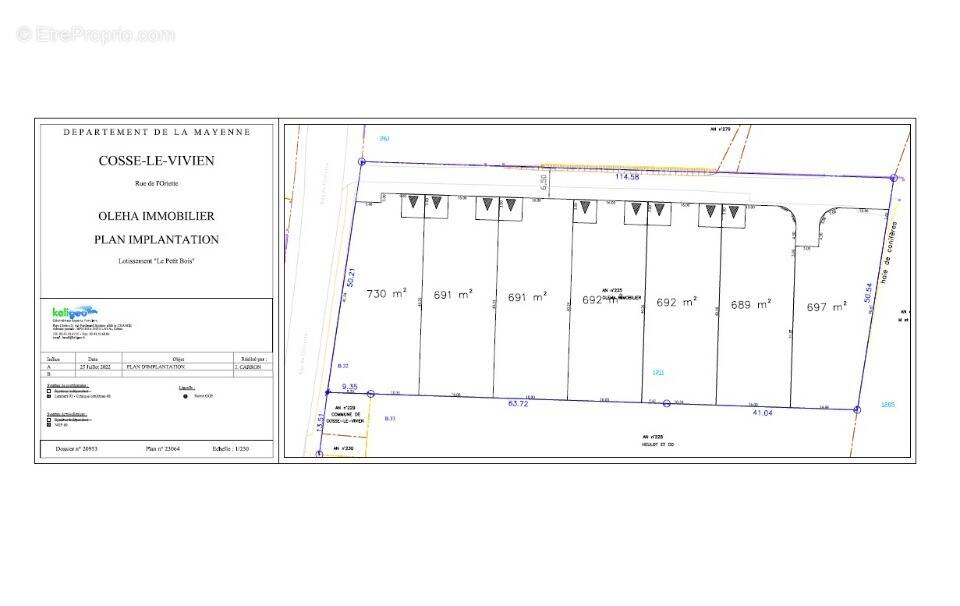 Terrain à COSSE-LE-VIVIEN