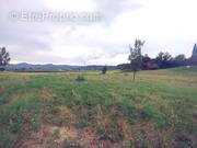 Terrain à BERRIAS-ET-CASTELJAU