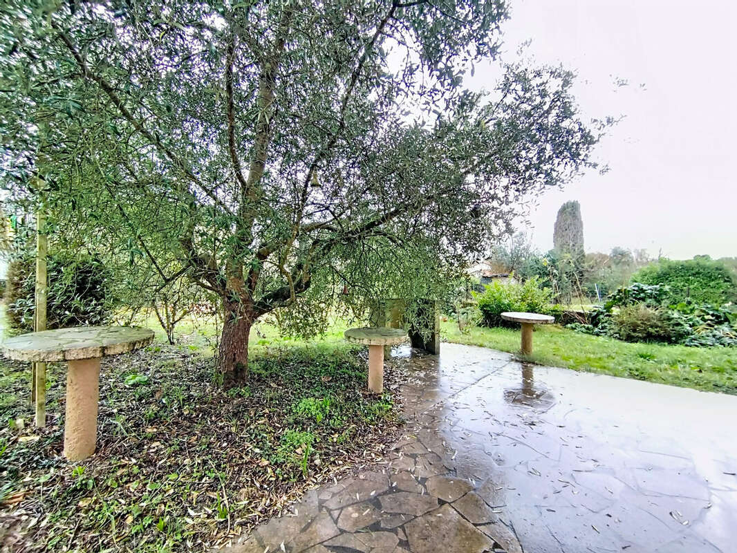 Jardin arboré au calme - Maison à CASTELNAU-MONTRATIER