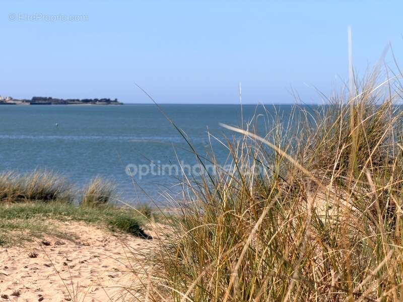 Maison à RIVEDOUX-PLAGE