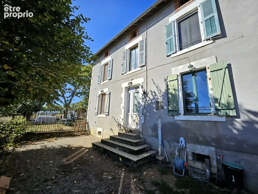 n°5